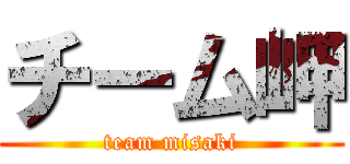 チーム岬 (team misaki)