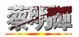 蔡明輝 ()