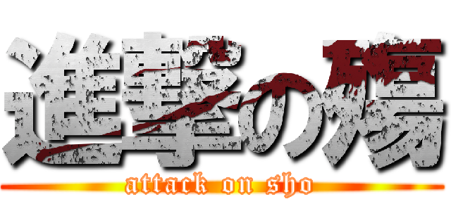 進撃の殤 (attack on sho)