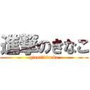 進撃のきなこ (giant　kinako)