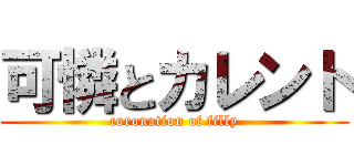 可憐とカレント (coronation of filly)