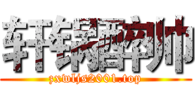 轩锅醉帅 (zxwljs2001.top)