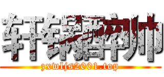 轩锅醉帅 (zxwljs2001.top)