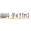 猫科（ｆéｌｉｎ） ()