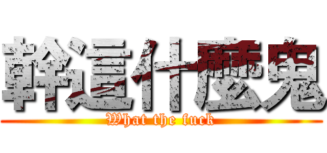 幹這什麼鬼 (What the fuck)