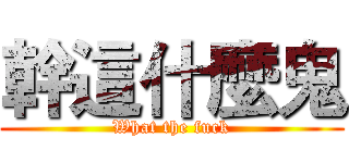幹這什麼鬼 (What the fuck)