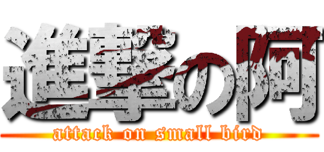 進撃の阿 (attack on small bird)
