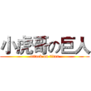 小虎哥の巨人 (attack on titan)