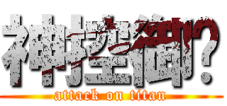 神控御姊 (attack on titan)