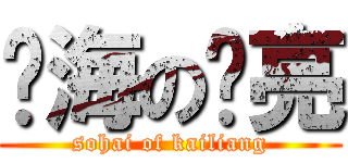 傻海の铠亮 (sohai of kailiang)
