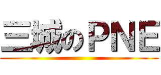 三城のＰＮＥ ()