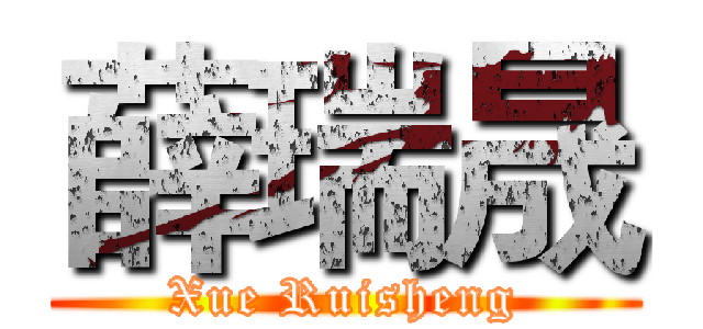 薛瑞晟 (Xue Ruisheng)