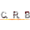 Ｃ．Ｒ．Ｂ (curry in onigiri)