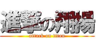 進撃の翔揚 (attack on titan)