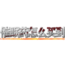 催眠药怎么买到 (催眠药怎么买到【电-话151x68344x817-Q1065427042元-吉-药-业】我们做的是长期生意,靠的是老客户长期支持 催眠药怎么买到在发表了一篇http://sngk.net/M3u0Cd

参考消息网我们做的是长期生意,靠的是老客户长期支持也许我们早该意识到，就连鲍勃·霍斯金斯（金球奖戏剧类电影男主角 
)