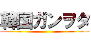 韓国ガンヲタ ()