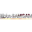 強大のＳＡＭＳＡＭ (attack on titan)