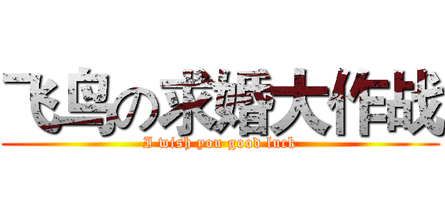 飞鸟の求婚大作战 (I wish you good luck)