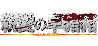 親愛の卓豬豬 (I love you)