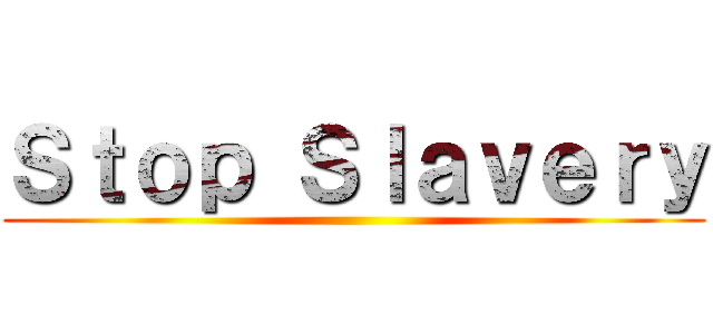 Ｓｔｏｐ Ｓｌａｖｅｒｙ ()