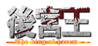 後宮王 (The king of harem )