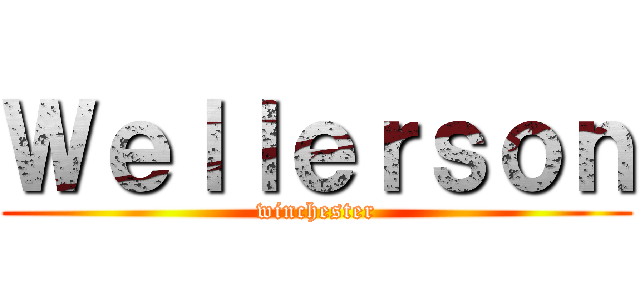 Ｗｅｌｌｅｒｓｏｎ (winchester)