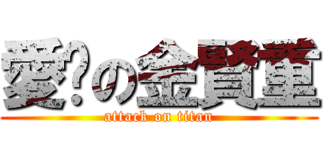 愛你の金賢重 (attack on titan)