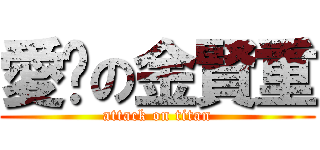 愛你の金賢重 (attack on titan)