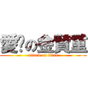 愛你の金賢重 (attack on titan)