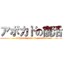 アボカドの復活 (alligator pear on zaoriku)