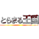 とらまる王国 ()