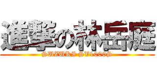 進撃の林岳庭 (SUZUKI SV1000S)