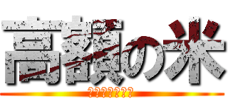 高額の米 (小泉　進次郎！)