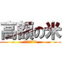 高額の米 (小泉　進次郎！)