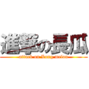 進撃の長瓜 (attack on Long melon)