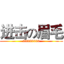 进击の眉毛 (23333333)