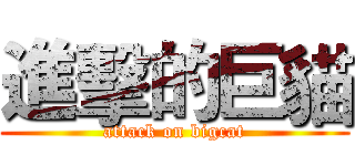 進擊的巨貓 (attack on bigcat)