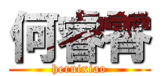何睿霄 (heruixiao)