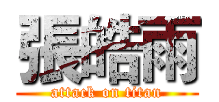 張皓雨 (attack on titan)