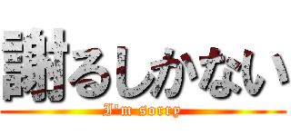 謝るしかない (I'm sorry)