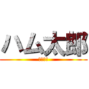 ハム太郎 (とっとこ)