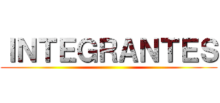 ＩＮＴＥＧＲＡＮＴＥＳ ()