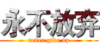 永不放弃 (never give up)