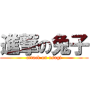 進撃の兔子 (attack on usagi)