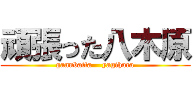 頑張った八木原 (gannbatta    yagihara)