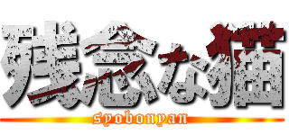 残念な猫 (syobonyan)