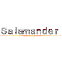 Ｓａｌａｍａｎｄｅｒ  (attack on Zombie)