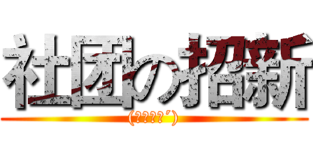 社团の招新 ((｀・ω・´))