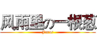 风雨里の一根葱 (Janus)