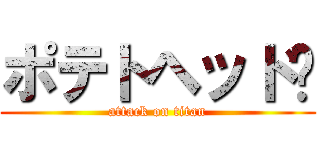 ポテトヘッド〜 (attack on titan)